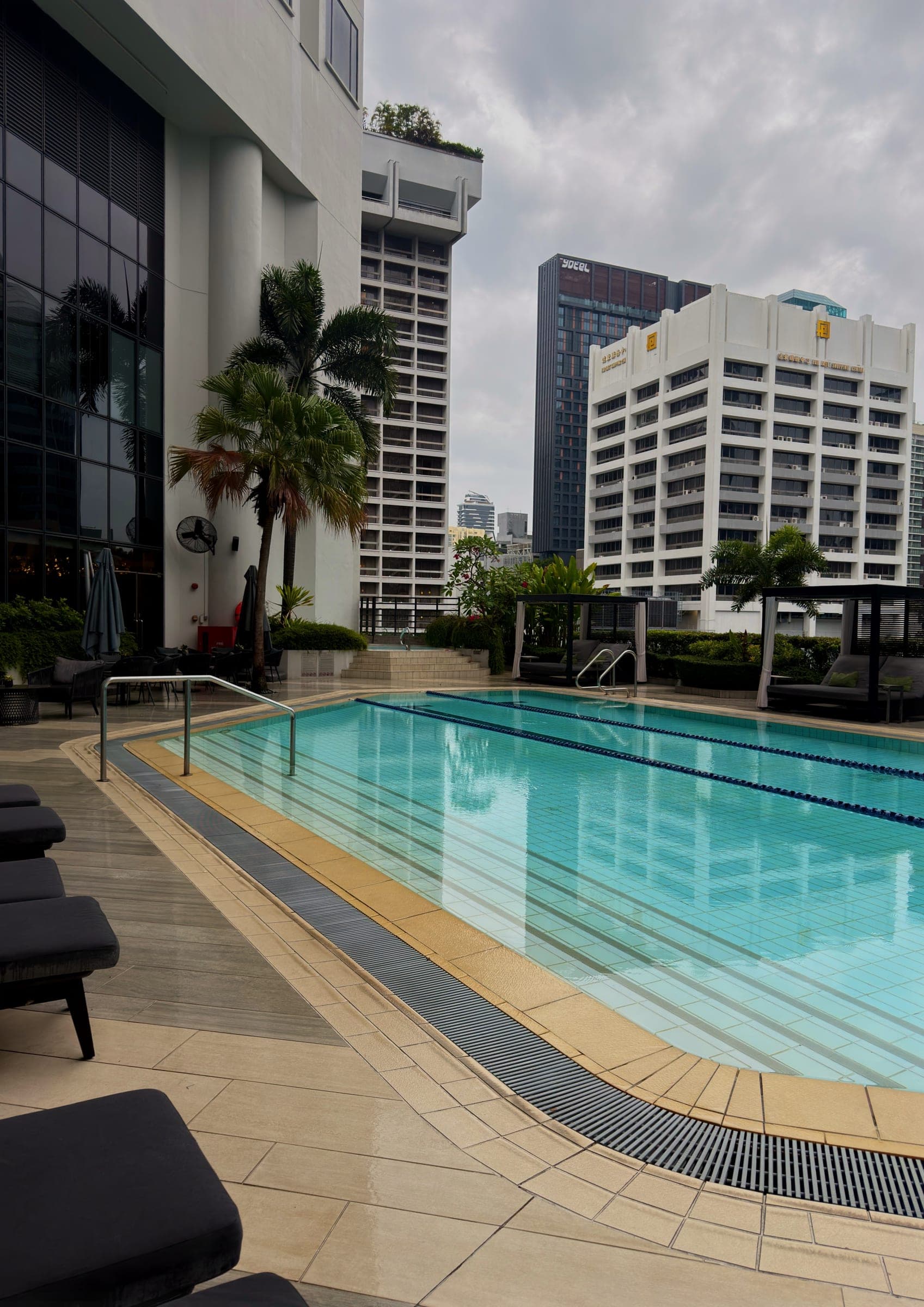 An outdoor lap pool framed by palms and city buildings
