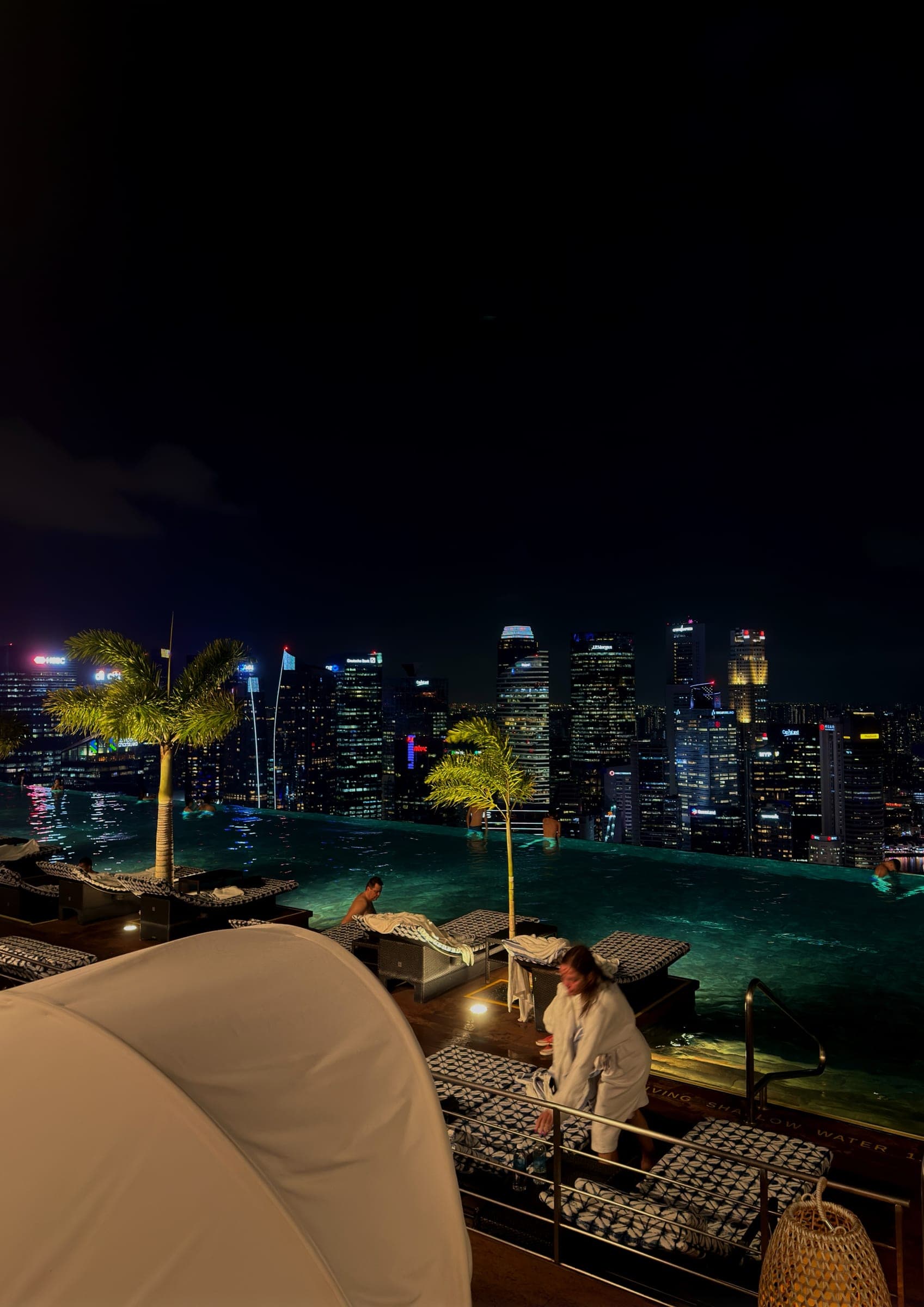 The infinity pool looking out over the illuminated city skyline