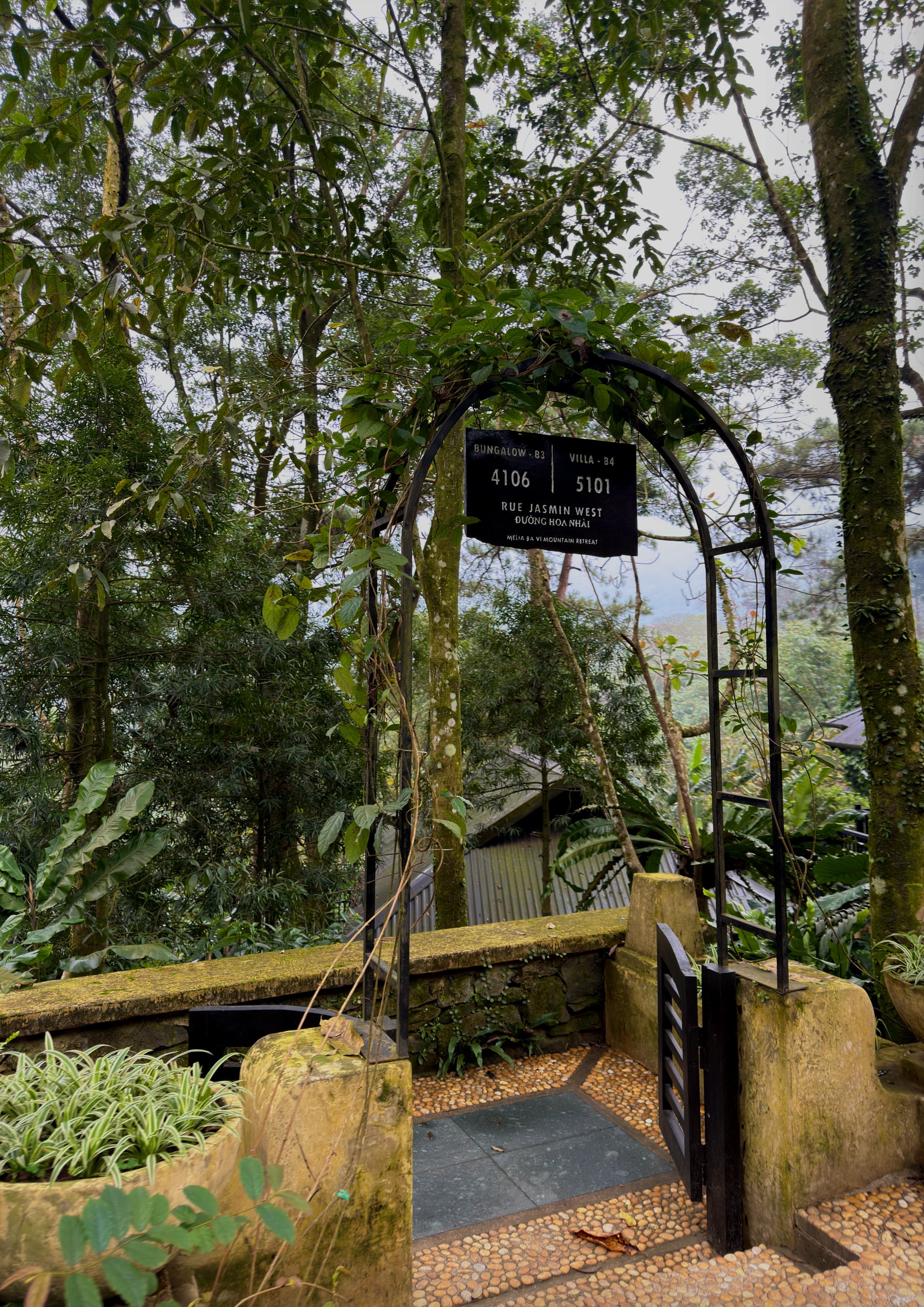 A signed entrance among misty trees within the national park