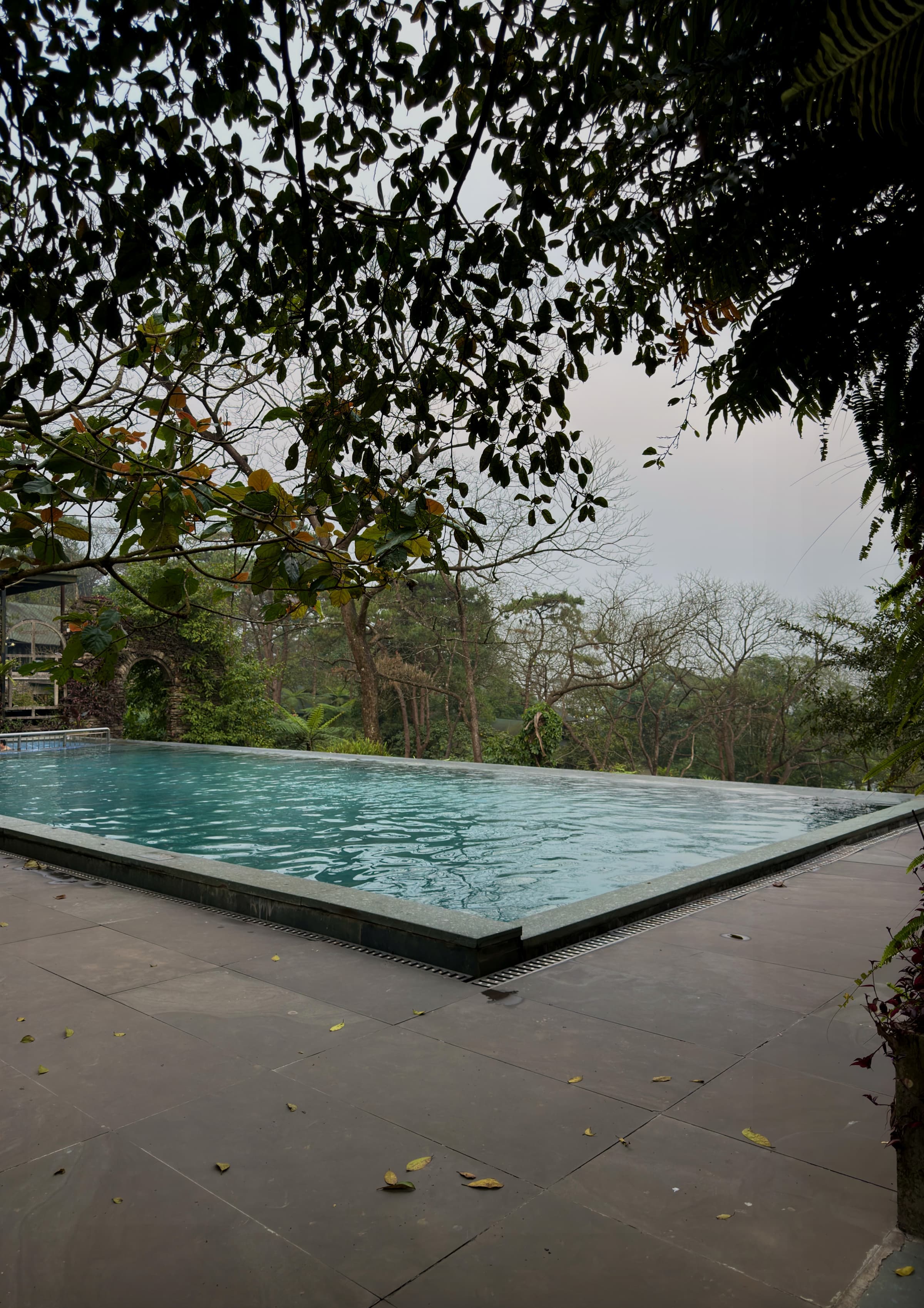 An infinity pool set at the forest edge above a misty valley