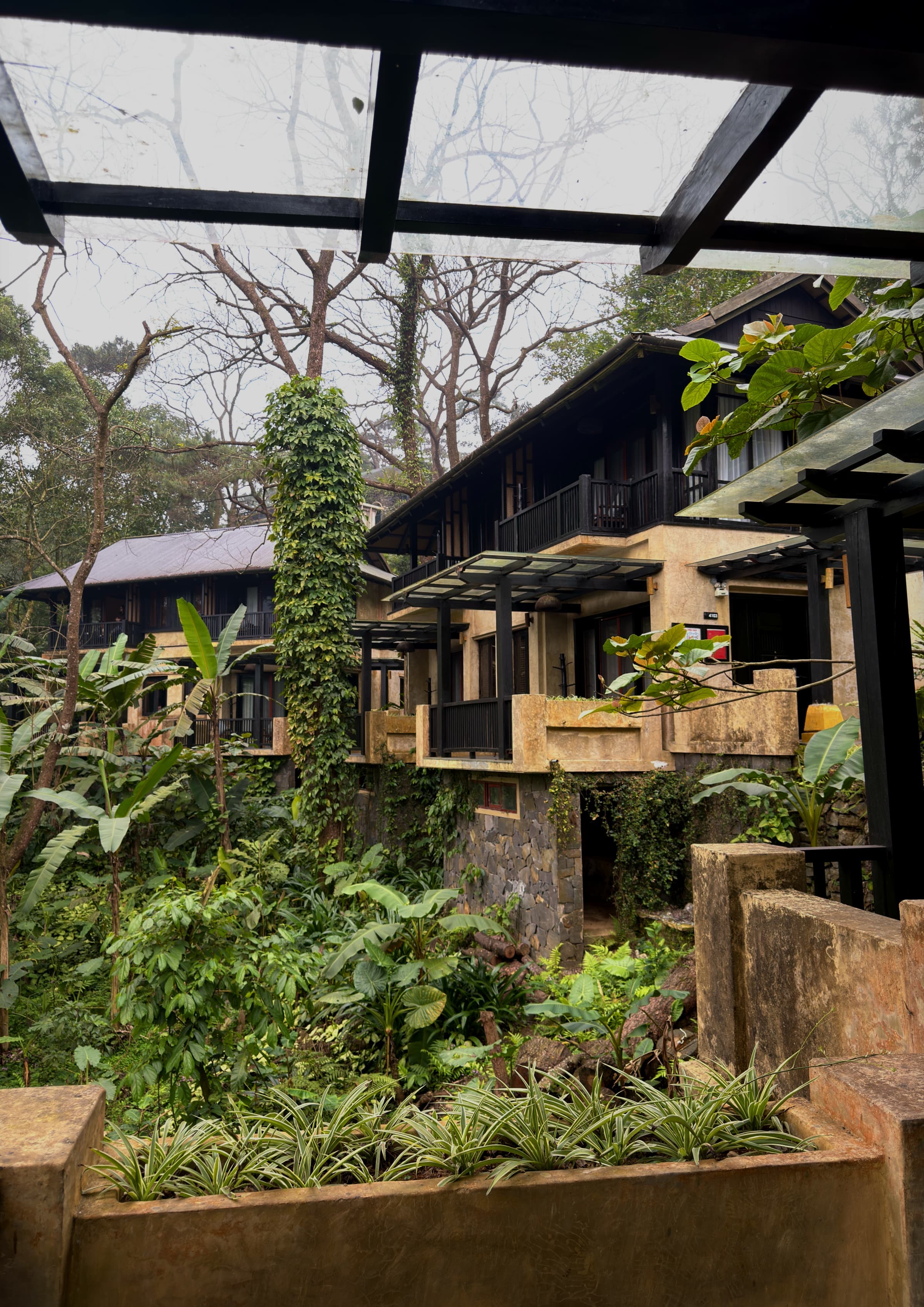 Wooden buildings set among dense green forest on the mountainside