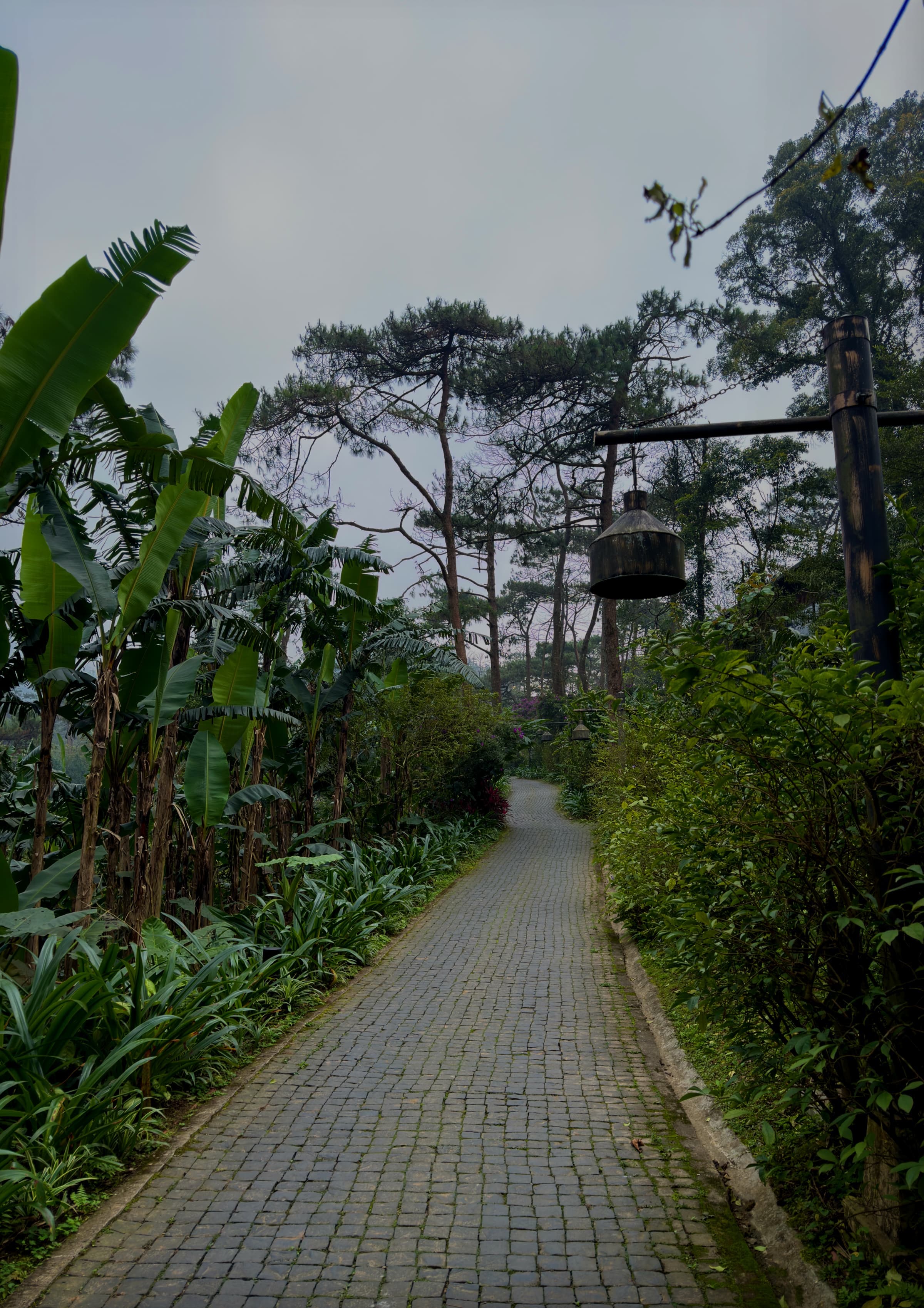 A paved path winding through the retreat’s planted gardens