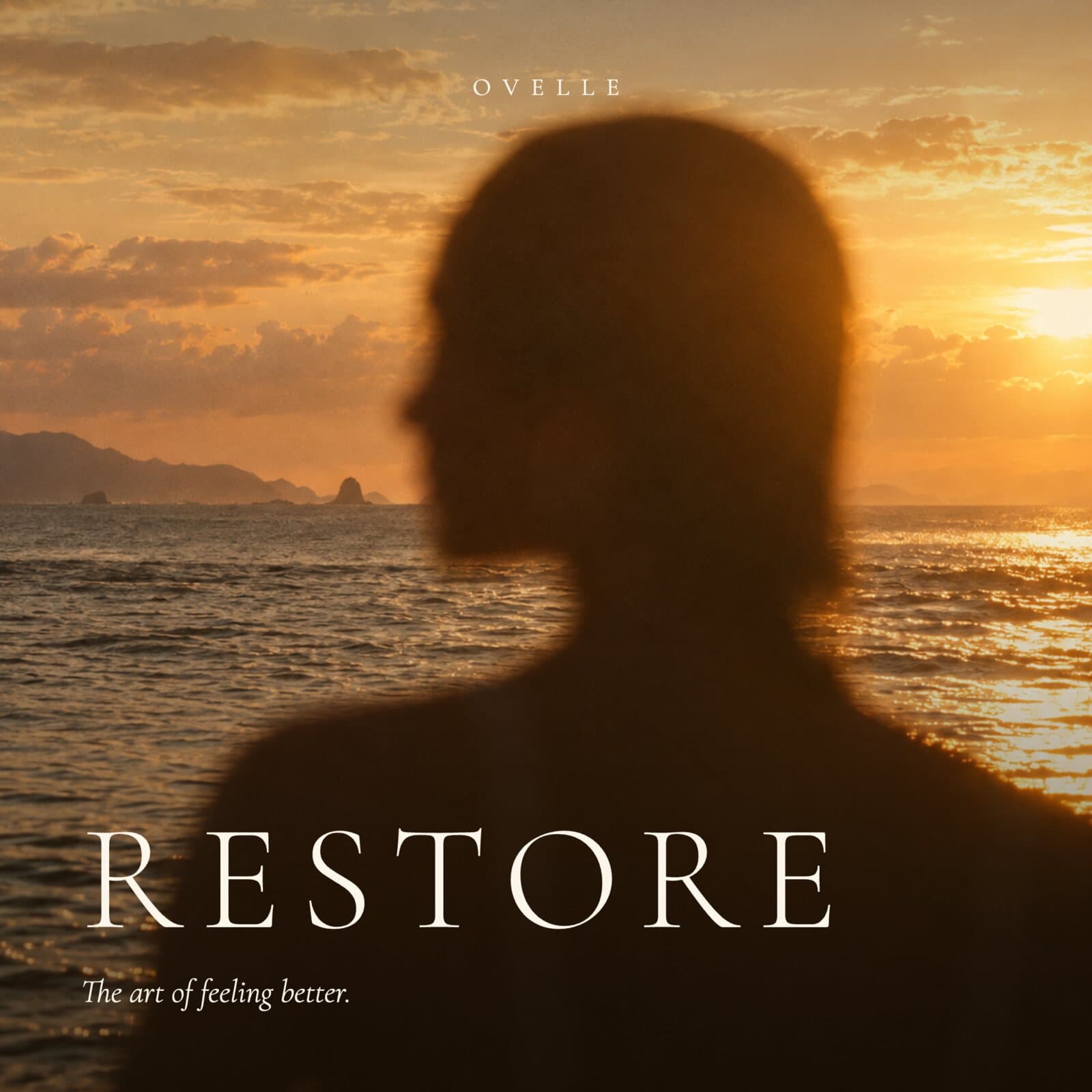 The Restore artwork from the Ovelle collection