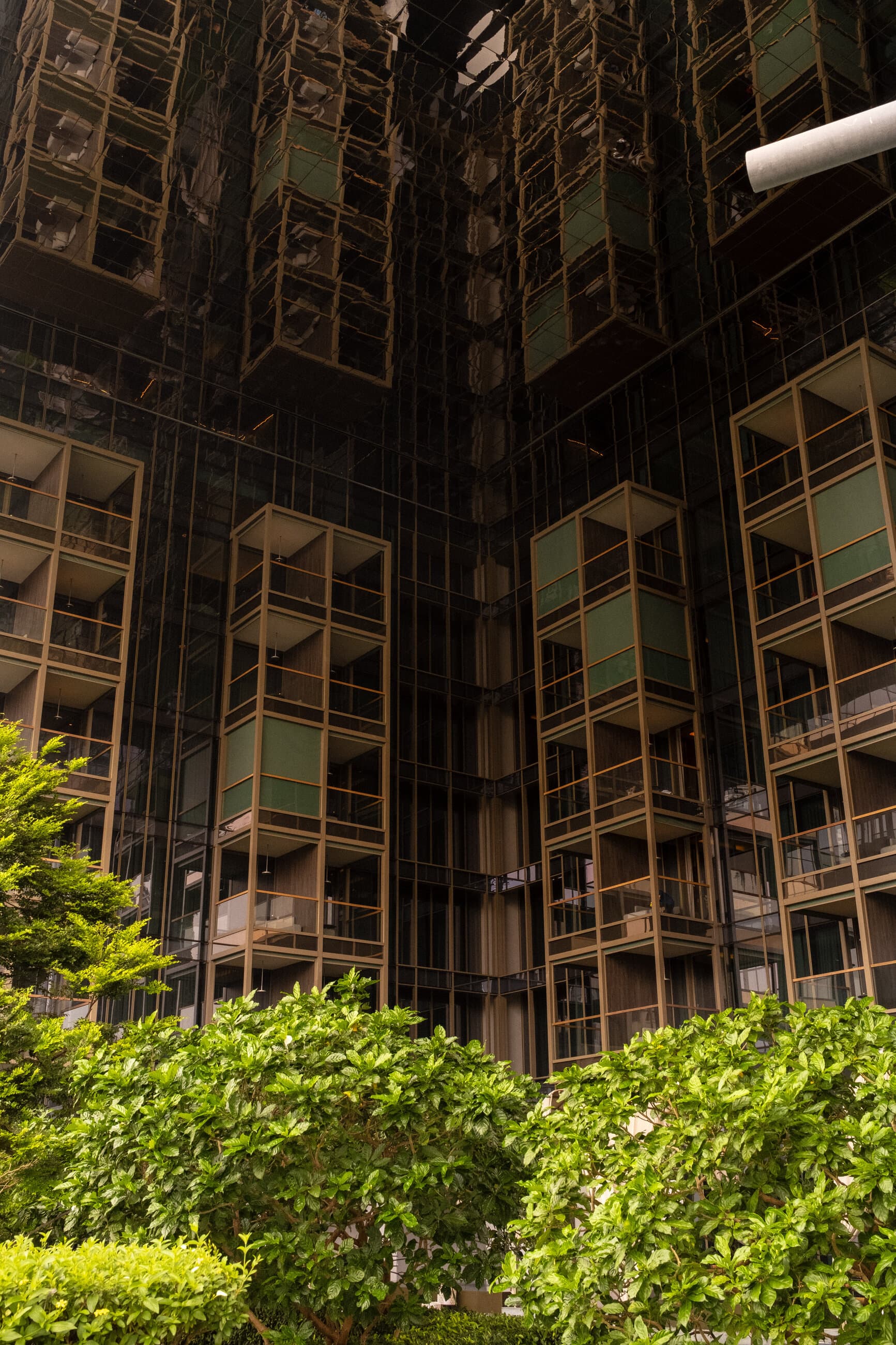 Pan Pacific Orchard, photographed by Ovelle Studio, frame 5