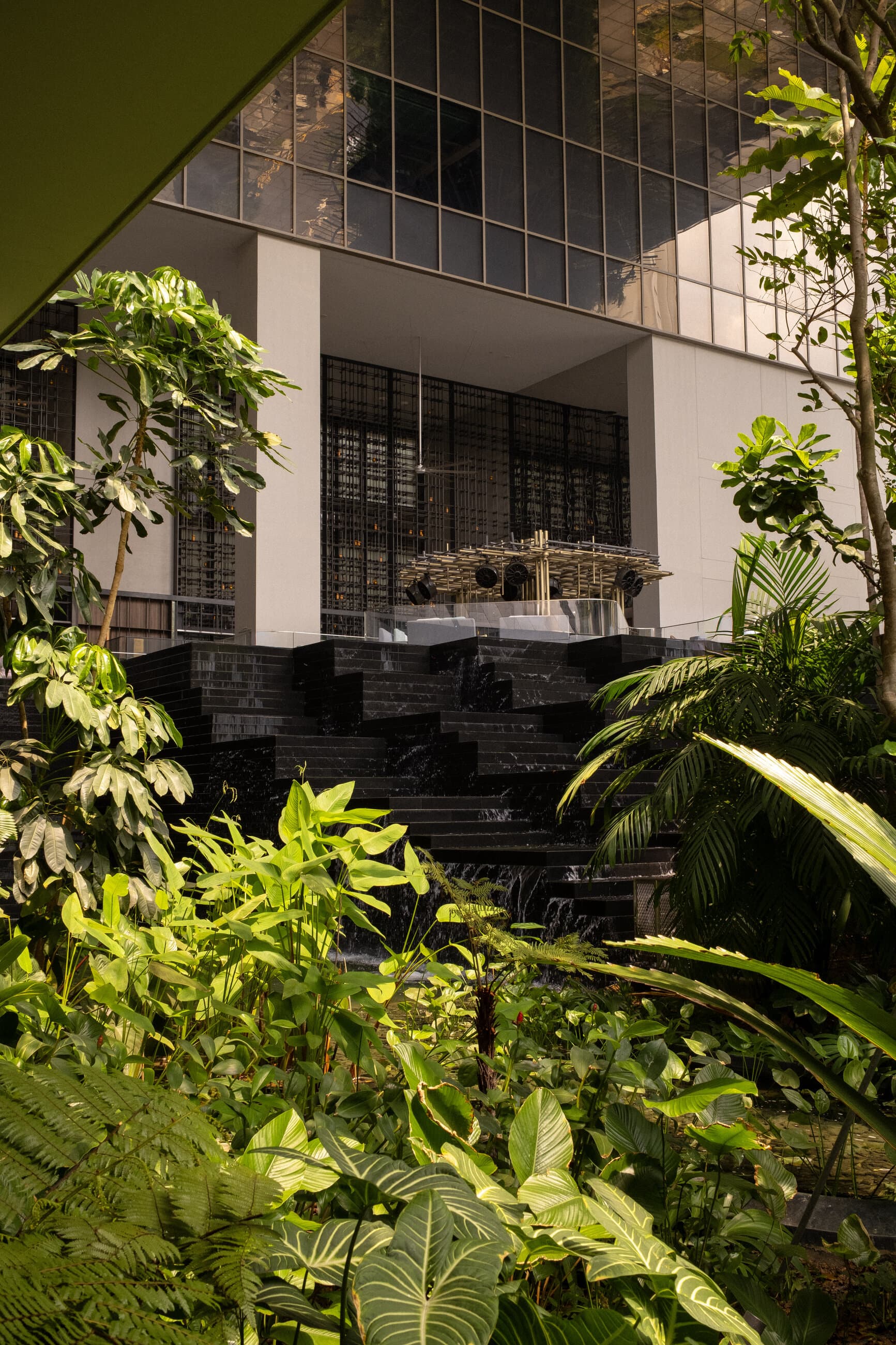 Pan Pacific Orchard, photographed by Ovelle Studio, frame 11